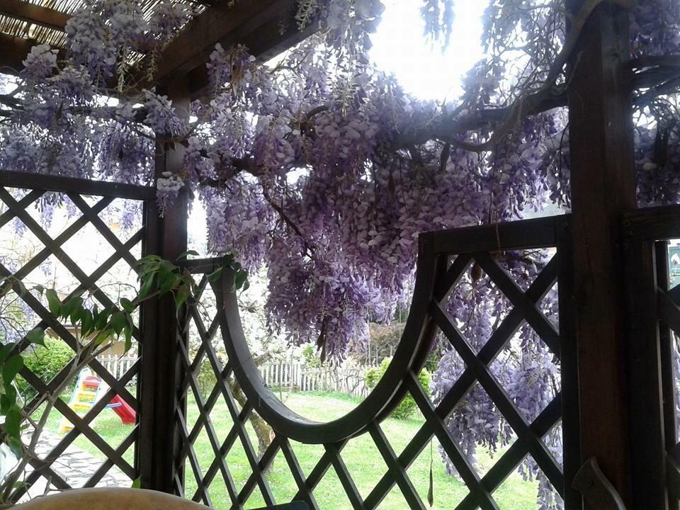 Il Ghiro B&B Riccò del Golfo di Spezia Exterior foto