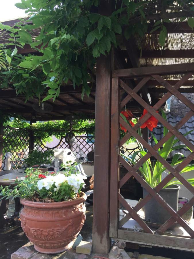 Il Ghiro B&B Riccò del Golfo di Spezia Exterior foto
